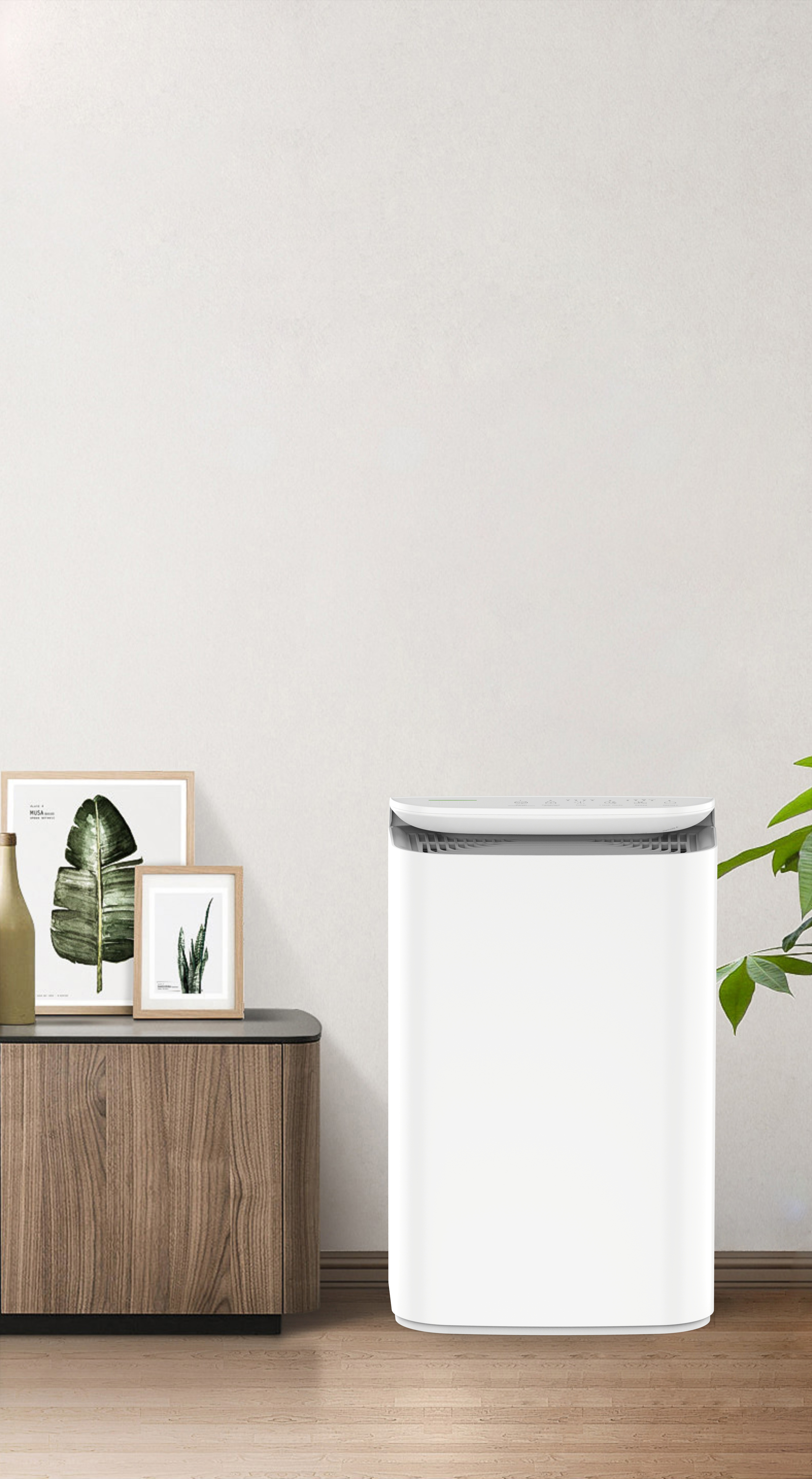 فناوری Anion Technology Breath of the Forest BKJ-16B را ارتقا دهید