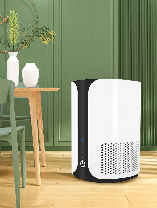 بهترین فرمالدئید را حذف کنید ، از هوای تازه بیشتر BKJ-15 لذت ببرید