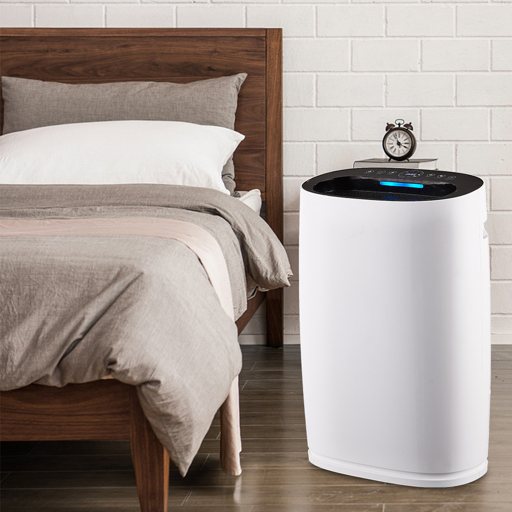 بهترین فرمالدئید را حذف کنید ، از هوای تازه بیشتر BKJ-306 لذت ببرید